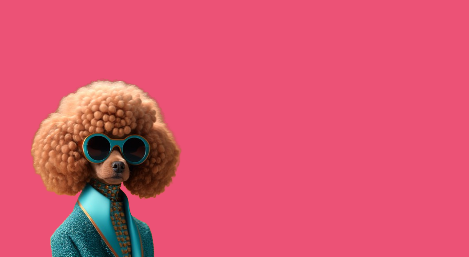 Agence de communication digitale Reims - IMPAAKT